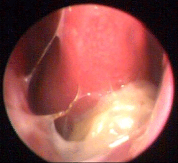 Figure1