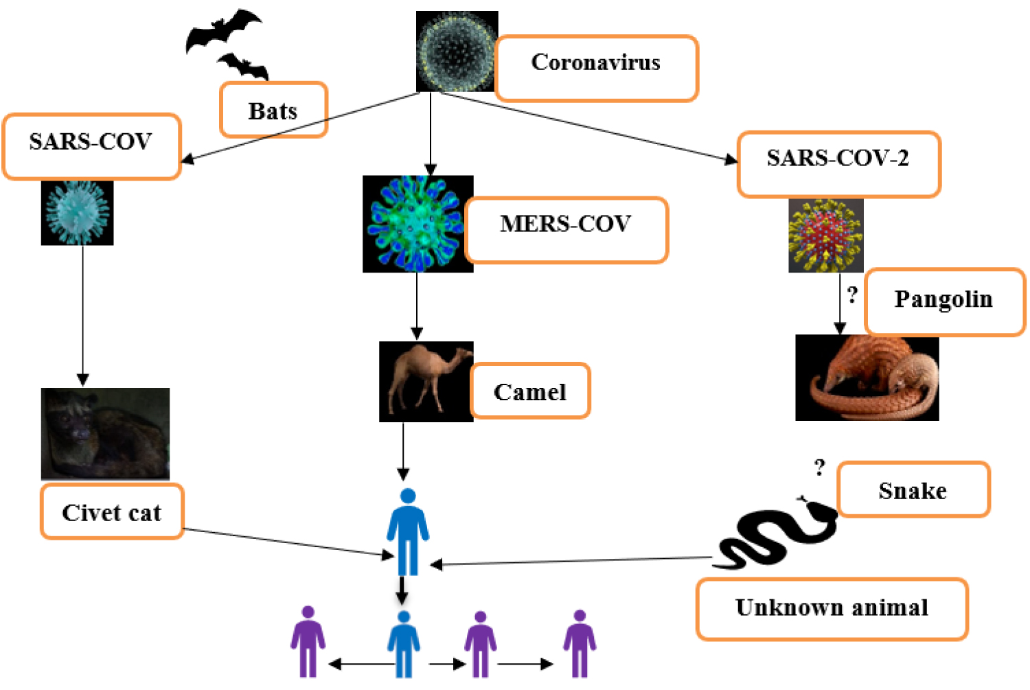 Emerging and Re-Emerging Viral Diseases: The Case of Coronavirus ...