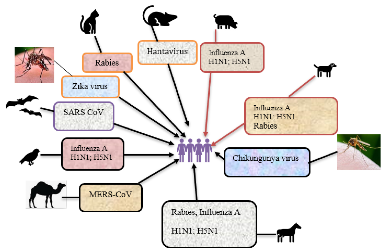 Emerging and Re-Emerging Viral Diseases: The Case of Coronavirus Disease-19  (COVID-19)