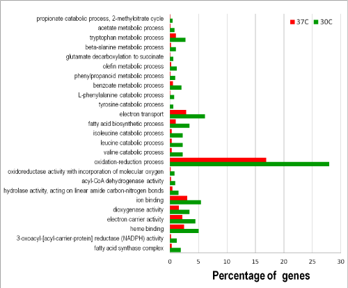 Figure 3: Functional categories of differentially expressed genes at 30C and 37C.